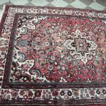 738 3491 ORIENTAL RUG